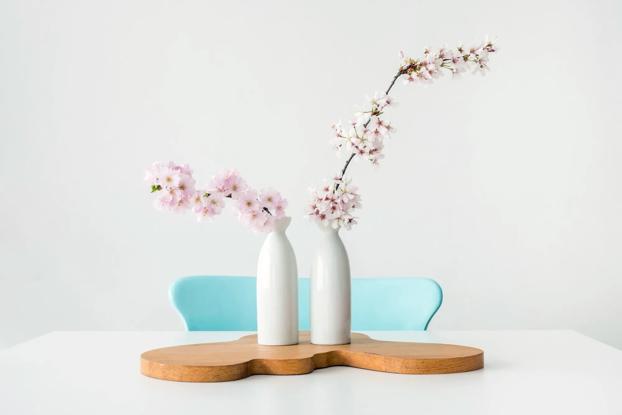 Two white vases of pink cherry blossoms against a white wall
