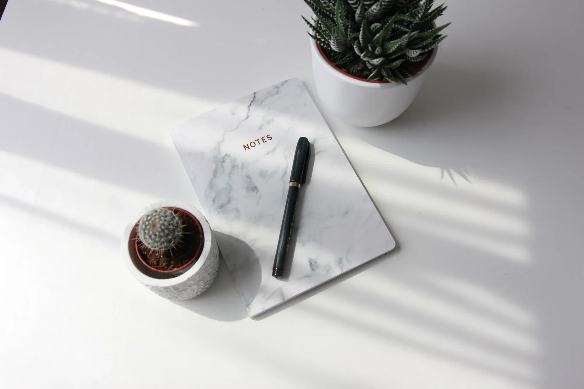Marble notebook and pen beside succulents on a white desk