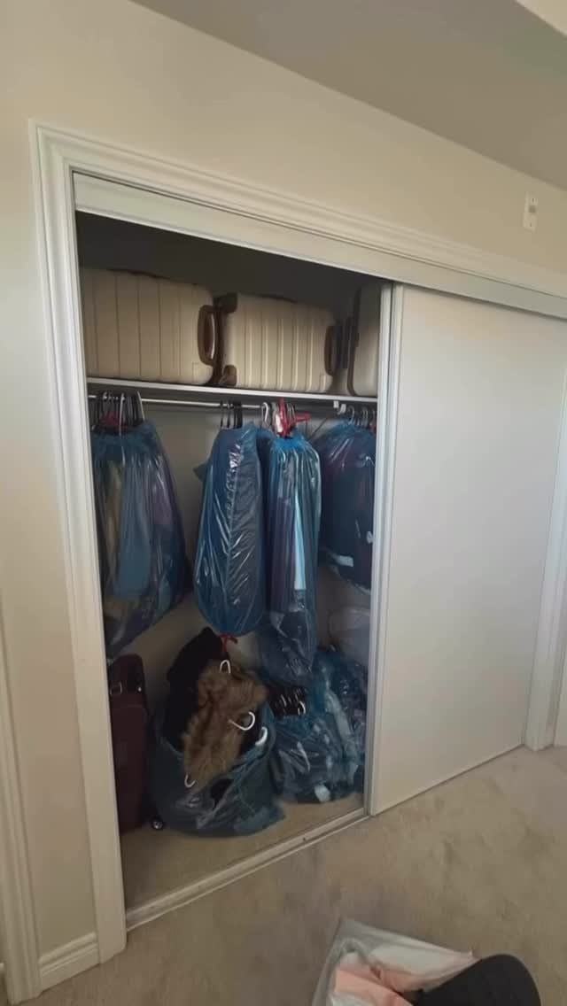 Closet before organizing with clothes in blue garment bags and stored luggage