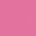 Pink colour swatch for memory bin lettering